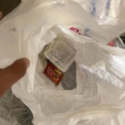 清掃活動：いつまでキスは釣れるかな？ついに…